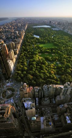 an aerial view of central park in new york city, with the surrounding trees and skyscrapers