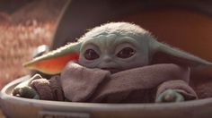 the child yoda is sitting in a bowl