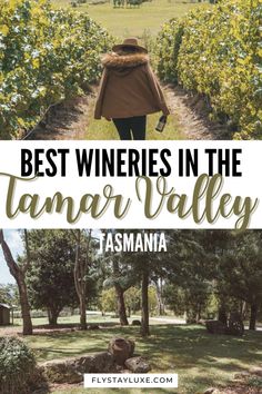 the best wineries in the tamar valley, tasmania and asmara