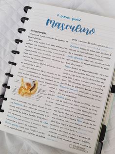 an open notebook with the words mayoneiro written in spanish