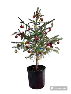 a small christmas tree in a pot with ornaments on it's top and bottom