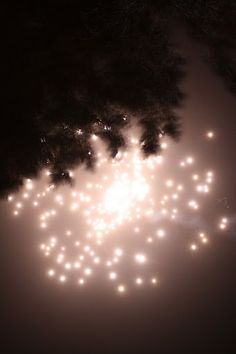 fireworks are lit up in the night sky with trees and lights behind them on a foggy night