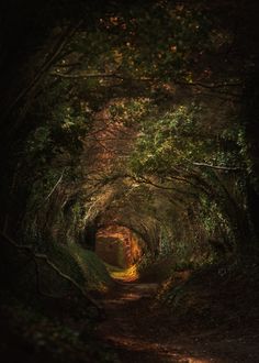 an image of a path that is surrounded by trees and bushes with the words rustic wedding ideas 45 breathing ideas for your big day