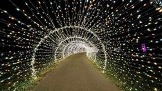 a tunnel that has lights all over it