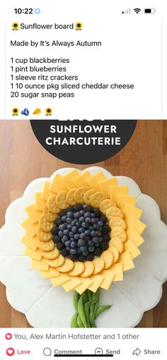 the sunflower is made out of cheese and blueberries