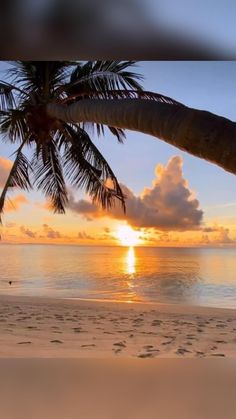 the sun is setting over the ocean with palm trees in front of it and footprints on the sand