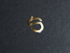 the letter s is inscribed in gold on a black surface with a small circle around it