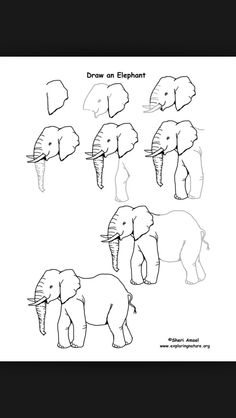 how to draw an elephant step by step