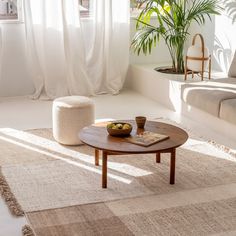 a living room with a couch, coffee table and potted plant