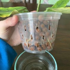 a person holding up a plastic container filled with food on top of a wooden table