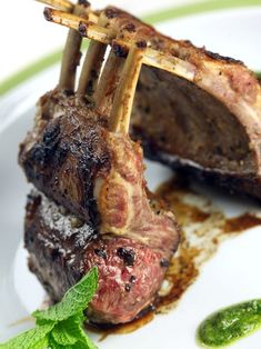 two pieces of meat on a white plate with sauce and green garnishes