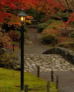 a lamp post sitting on the side of a road next to a lush green field