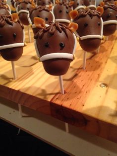 there are many chocolate cake pops with animals on them