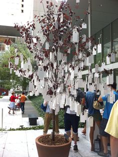 a group of people standing around a tree with many cards attached to it and hanging from the branches