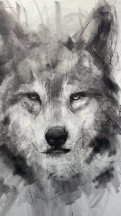 a black and white drawing of a wolf's face