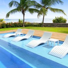 four lounge chairs sitting on the edge of a swimming pool next to palm trees and an ocean