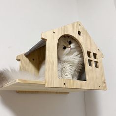 a white cat sitting inside of a wooden house on top of a shelf next to a wall