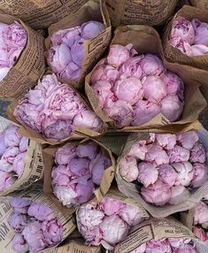 bunches of pink flowers are wrapped in brown paper