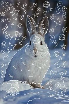 a white rabbit sitting in the snow with hearts drawn on it's face and ears