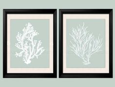 two framed art pieces with blue and white corals on the bottom, one in black frame