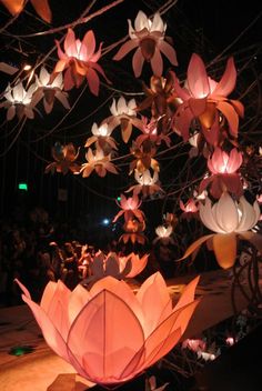 paper flowers are hanging from the ceiling at night