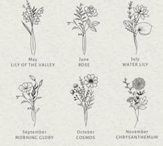 the different types of flowers are shown in black and white, with text that reads may lily of the valley, june rose, november blossom,