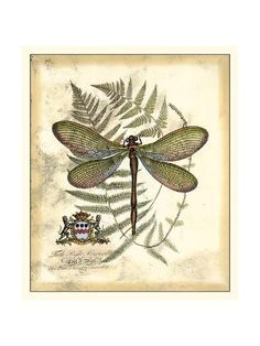 a drawing of a dragonfly sitting on top of a leafy plant with two crests