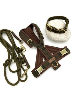 two leashes and one collar on a white surface with a rock in the background