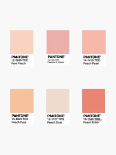 different shades of pink and orange are shown in this graphic style, with the text pantone