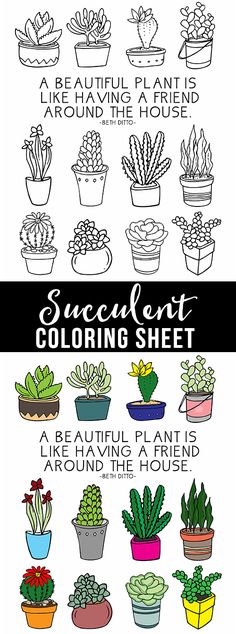 the different types of succulents are shown in black and white, with text that