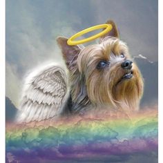 a dog with angel wings and a halo on it's head sitting in front of a rainbow