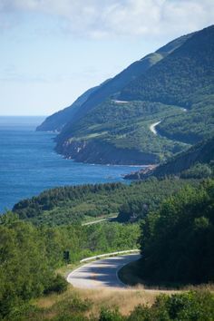 a winding road in the middle of an ocean and mountain range with trees on both sides