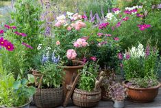 many potted plants and flowers on a wooden table