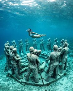 a man swimming in the ocean next to a statue that looks like it is surrounded by other statues