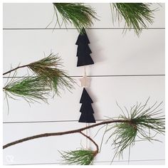 three black paper christmas trees hanging from a pine tree branch on a white wooden background