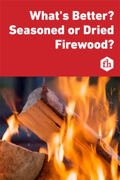 the cover of what's better? seasoned or dried firewood?, with flames in