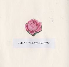 a piece of paper that says i am big and bright with a pink rose on it