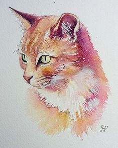 a watercolor painting of a cat's face