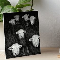 a black and white photo of sheep in the dark art boarder on a table next to a potted plant