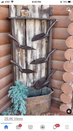 an old wooden bucket filled with water next to a tree branch wall mounted on the side of a building