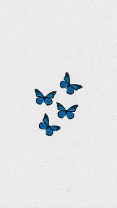 four blue butterflies flying in the sky with no one on it's back side