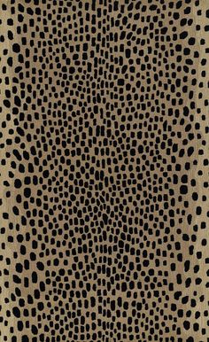 Momeni Erin Gates Woodland WOD-3 Hand Tufted Contemporary Animal Print Indoor Area Rug Beige 10' x 14' WOODLWOD-3BGEA0E0 Carpeted Room, Cheetah Print Rug, Luxury Area Rugs, Momeni Rugs, Color Aesthetic, Erin Gates, Wool Animals, Area Rug Collections, Elements Of Style