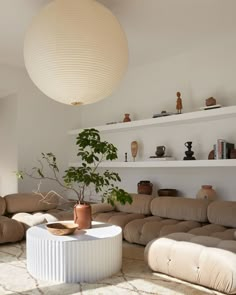 a living room filled with furniture and a potted plant