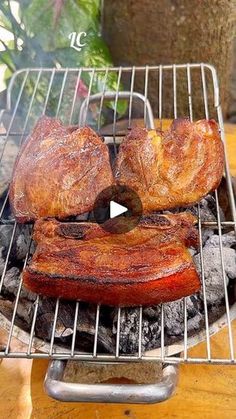 steaks and ribs cooking on the grill in front of a pot full of plants