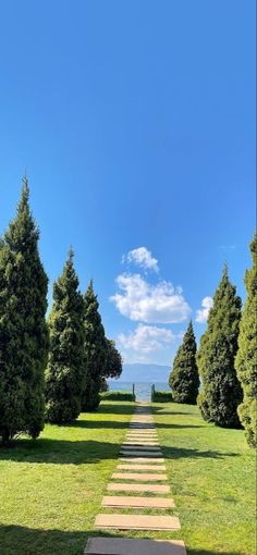 a long pathway in the middle of a field with trees on both sides and blue sky above