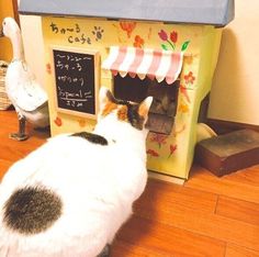 a cat sitting in front of a toy house with a chalkboard on it's side