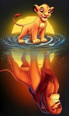 the lion cub is floating in the water with its reflection on it's body