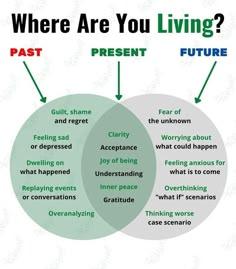 two venns with the words past, present and future in each part of the diagram