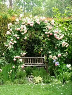 a wooden bench sitting in the middle of a lush green garden filled with pink flowers