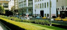 a city street filled with lots of traffic next to tall buildings and green grass covered sidewalks